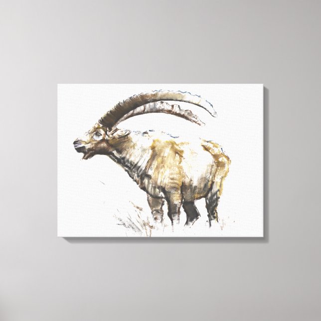 Toile Ibex Noasca (Recto)