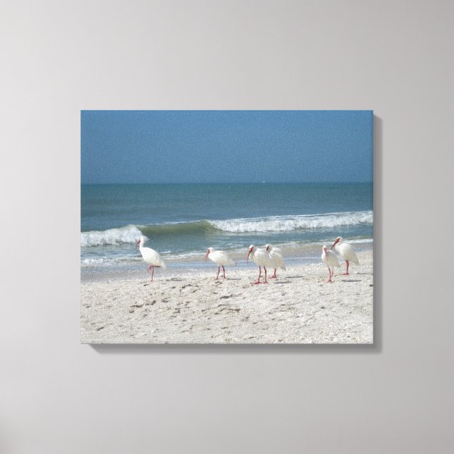 Toile Ibis Beach (Recto)