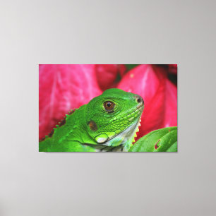 Toile Iguana - rose et vert