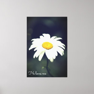 Toile Il M'Aime Daisy Canvas