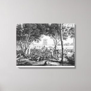 Toile Île de la Guam : Indigènes au travail dans le