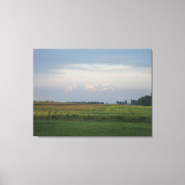 Toile Illinois vivant