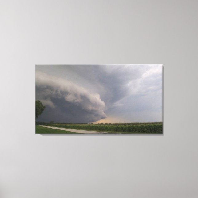 Toile Illinois vivant (Recto)