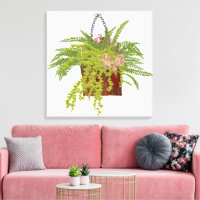 Illustration botanique d'une plante grimpante de l
