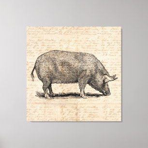 Toile Illustration de cochon Style de papier de script d