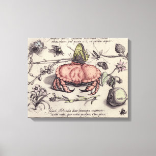 Toile Illustration de fleur d'insecte botanique de crabe