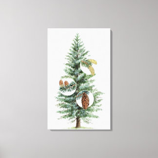 Toile Illustration de l'arbre conifère avec cônes 2
