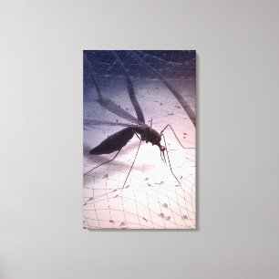Toile Illustration de mordre de moustique