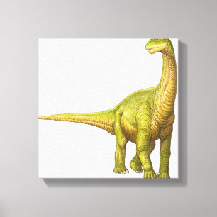 Toile Illustration d'un Camarasaurus