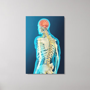 Toile Illustration Médicale de l'esprit humain et du
