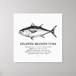 Toile Illustration scientifique du thon rouge de l'Atlan