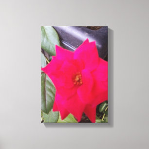 Toile Image Canvass Art