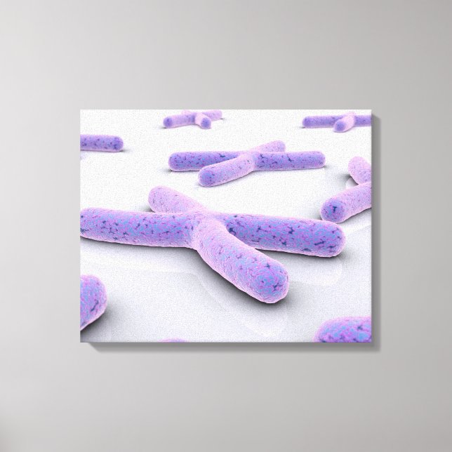 Toile Image Conceptuelle De Chromosome 4 (Recto)