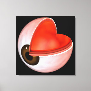 Toile Image Conceptuelle De L'Anatomie Des Yeux Humains 