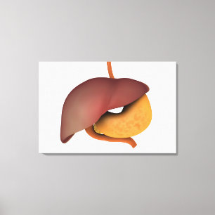 Toile Image conceptuelle de l'appareil digestif humain 3