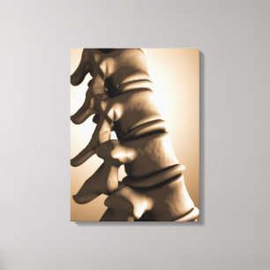 Toile Image conceptuelle de l'épine dorsale humaine 4