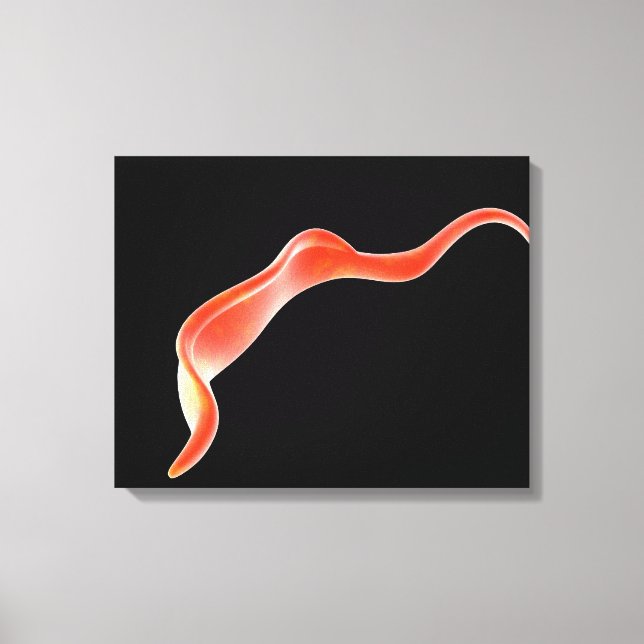 Toile Image Conceptuelle De Trypanosoma 2 (Recto)