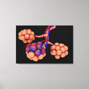 Toile Image conceptuelle des alvéoles 3