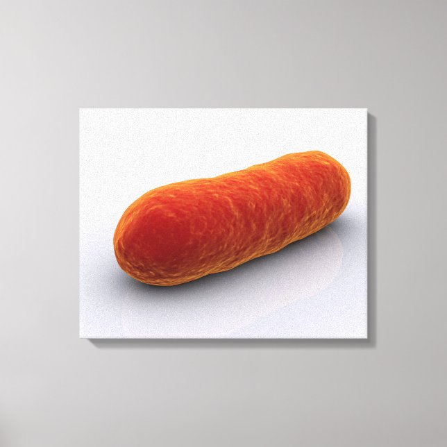 Toile Image Conceptuelle Des Bactéries 4 (Recto)