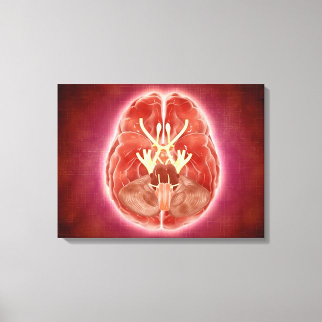 Toile Image Conceptuelle Des Nerfs Craniens Dans Le Cerv (Recto)