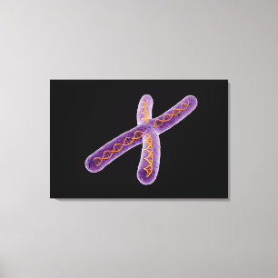 Toile Image conceptuelle du chromosome 2