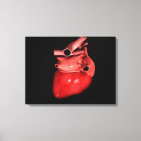 Image Conceptuelle Du Coeur Humain 3