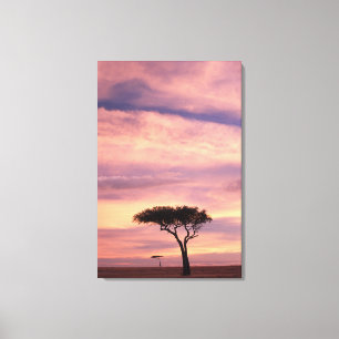 Toile Image de silhouette d'un arbre acacia au lever du 