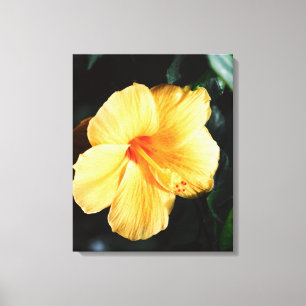 Toile Image Hibiscus orange jaune grand format
