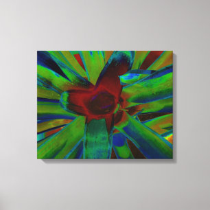Toile Image Plante bleu vert rouge broméliade