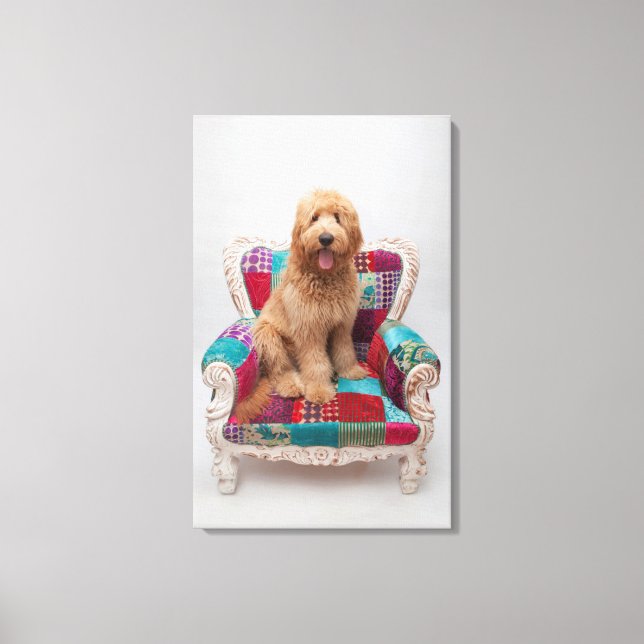 Toile Images Getty | Cute Goldendoodle (Recto)