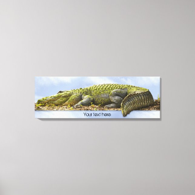 Toile Immense Gator Panoramique Nature Photography OB Ef (Recto)