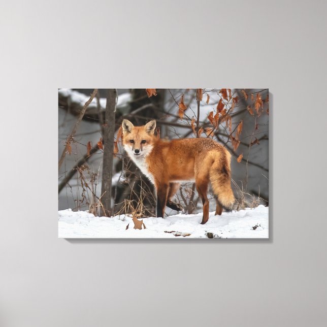 Toile Imprimer Canvas Fox hiver (Recto)