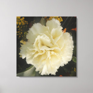 Toile Imprimer la beauté de la carnation blanche