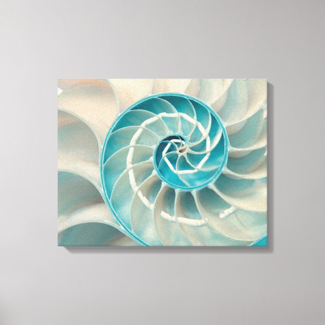 Toile Imprimer-Séquence de Fibonacci dans la natur (Recto)