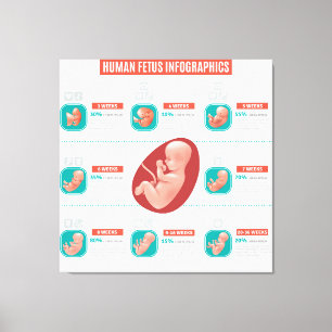 Toile Infographie du foetus humain