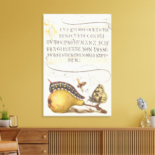 Toile Insectes de jardin, mouche, chenille, poire, mille