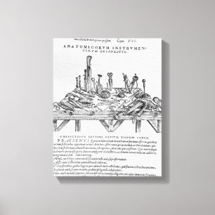 Toile Instruments pour les dissections, illustration de