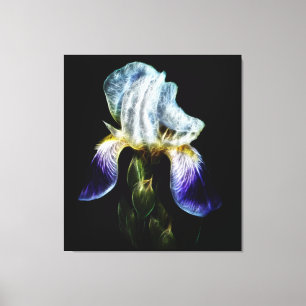 Toile Iris pourpre
