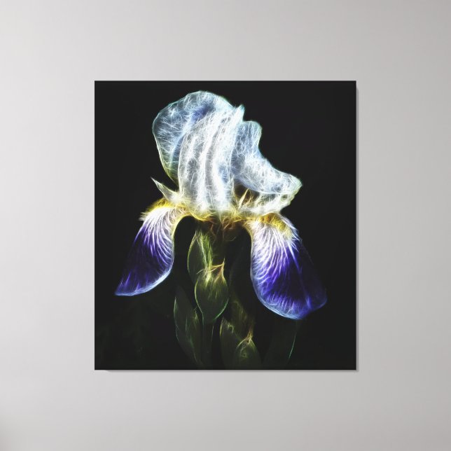 Toile Iris pourpre (Recto)