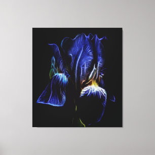 Toile Iris pourpre