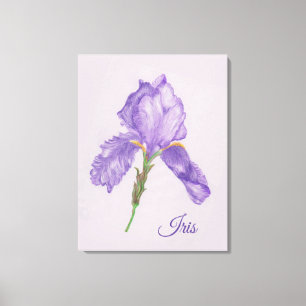 Toile Iris pourpre, style botanique, art coloré de