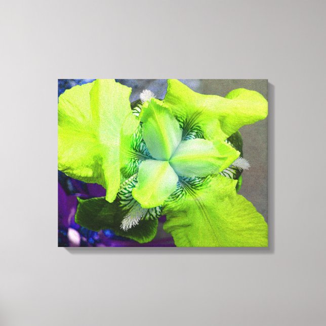 Toile Iris Vert Clair (Recto)