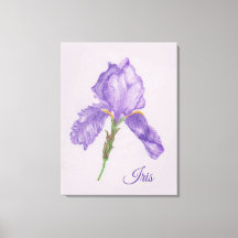 Iris Violet, Style Botanique, Art Crayon Coloré