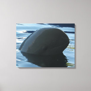 Toile Irrawaddy Dolphin Peek-A-Boo