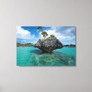 Toile Islet De Champignons À Fidji