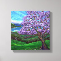 Jacaranda d'Upcountry