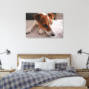 Toile Jack Russel Terier