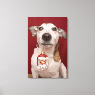 Toile Jack Russell Terrier tenant l'ornement de Noël