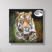 J'aime les tigres