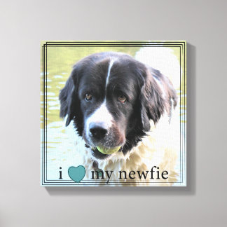 Toile J'aime ma Newfie Terre-Neuve Black Border